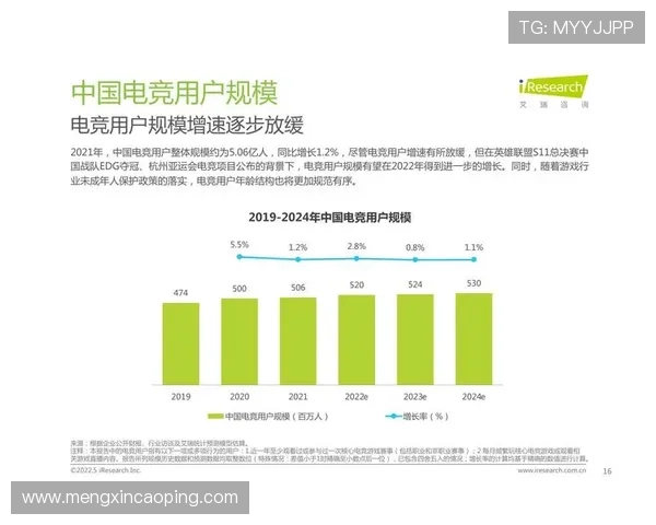 《全球电竞产业蓬勃发展 电竞赛事日益专业化推动市场迅猛增长》