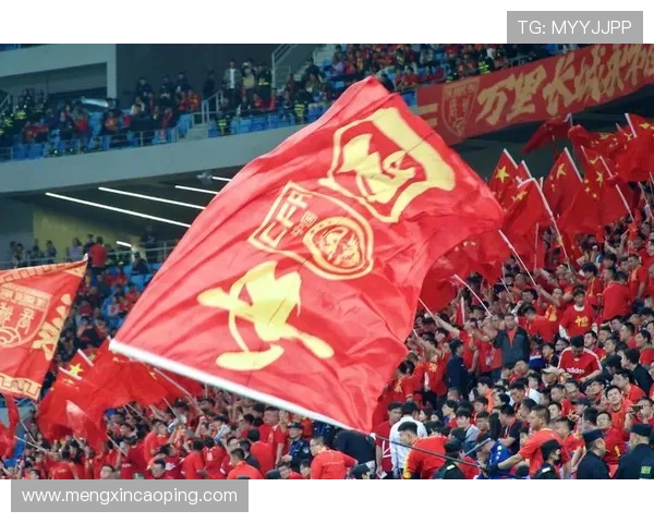 中国足球世界杯预选赛迎战强敌，全力冲击2026年世界杯决赛圈资格